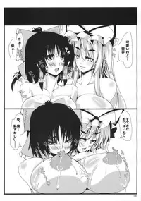 (C77) [Kara no Tsuki (Toono Yayoi)] Touhou Mousou Kyou 14 (Touhou Project)