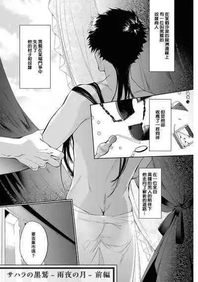 Sahara no Kuro Washi 2 side Alkil | 撒哈拉的黑鹫2 雨夜的月亮 前篇+后篇 第一夜