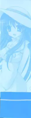 Tsunagaru Bangle - Visual Fan Book