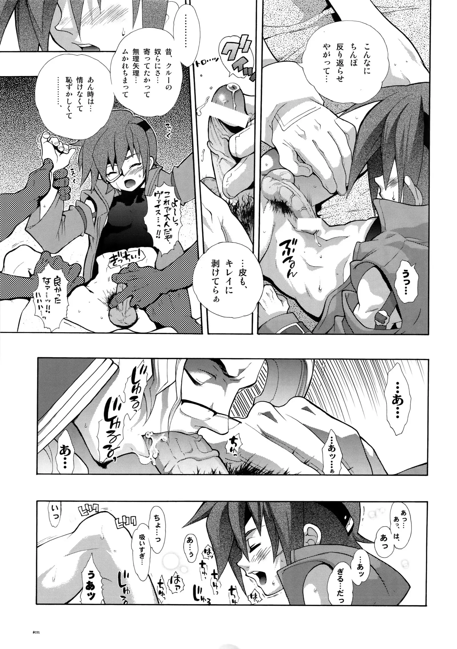 Anthurium.EA01 Shinsouban