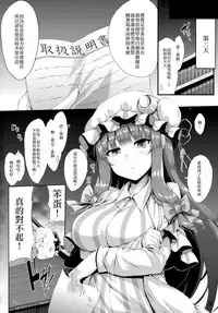 (C94) [YuKi-IRo (Yukiusagi.)] Tokonatsu Majutsu (Touhou Project) [Chinese] [CE家族社]