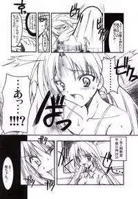 (CR33) [HarthNir (Misakura Nankotsu)] Binzume Sisters Binzume Imototachi 4 (Sister Princess)