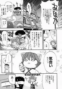 [Kanata] Vanity Fair