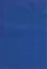 (C51) [Chimatsuriya Honpo (Various)] FSB (Neon Genesis Evangelion)