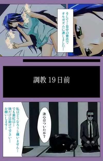 Shimai-ijiri kanzenhan