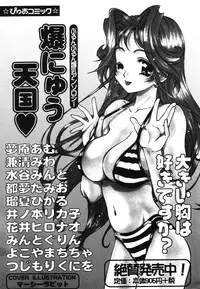 [Anthology] Pure Petit Vol. 2