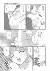 [Hirose Miho] Oneesan ni Onegai