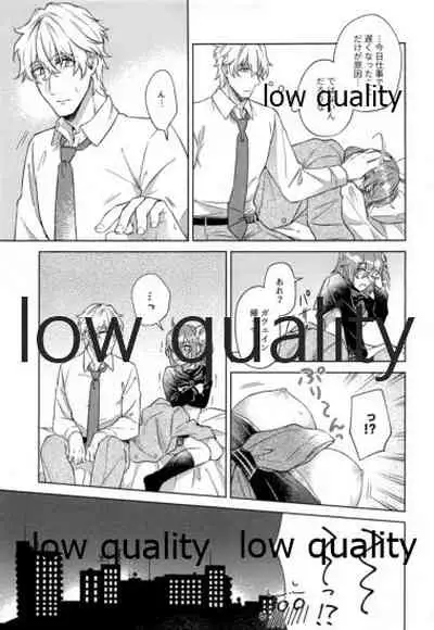 Sakura no Koi