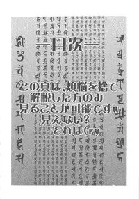 [From Japan] Seiiki Naki Jukujuku Kaikaku III (Neon Genesis Evangelion)