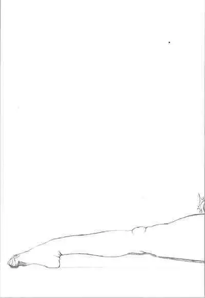 Saotome Ranma no Seitai Preview Ver2