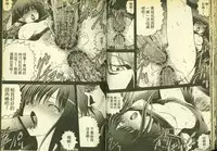 草莓100分 15