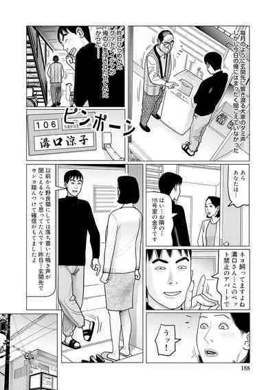 Ijou na Jukunikutsuma no Ayamachi | Indiscretions of Strange Mature Wives [Digital