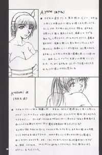 (C58) [BREEZE (Haioku)] R25 Vol.2 DoA2 SECOND (Dead or Alive)
