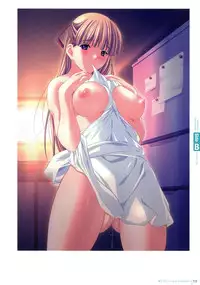 Hadaka Apron Visual Collection