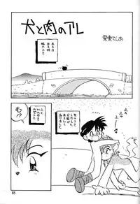 (C47) [Ganso Sonoda Ya (Various)] Chousen Ame Ver.06