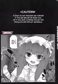 (C77) [Inst (Interstellar)] SHADOWPLAY (Touhou Project) [English] [desudesu]