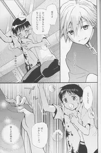 (C77) [RAYTREC (Fuyunagi Reku)] +PLUS (Neon Genesis Evangelion)