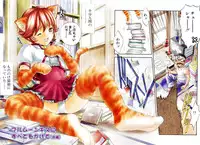 [Kanata] Vanity Fair