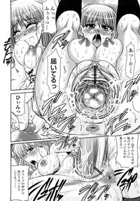 [Warashibe] Nenmaku Sesshoku Kuukan