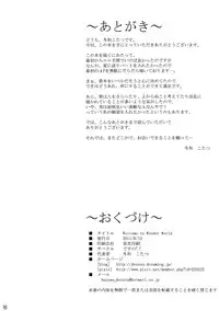 (C80) [Desuno!! (Fuyuwa Kotatsu)] Welcome to Wonder World (Touhou Project)