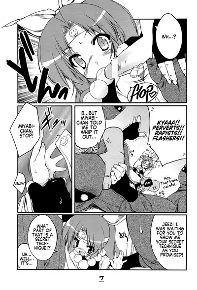 Momoiro Ninpou Hidensho