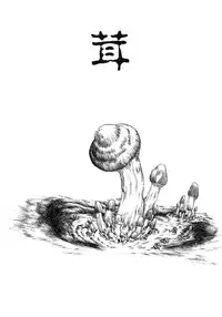 [Horihone Saizou] Niku no Ana