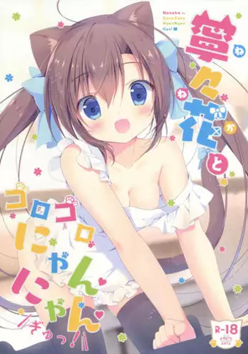 (SC41) [canvas (Miyasaka Miyu)] Musou Gentei (Hatsukoi Limited.)