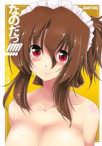 (C73) [Girigiri Nijiiro (Kamino Ryu-ya)] Nanoda! (Hayate no Gotoku!) [English] [UNANIMAS]