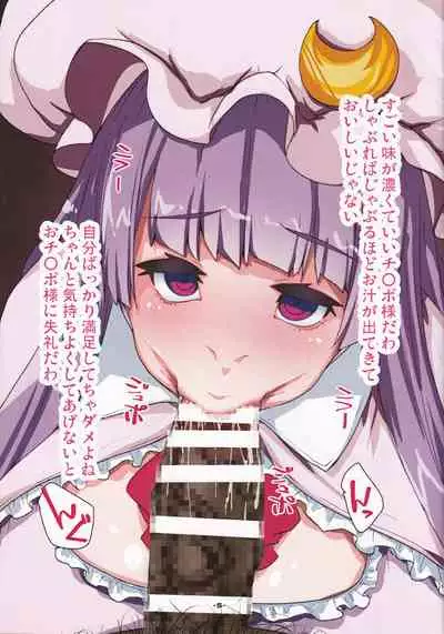 (C97) [H-net (HiRo)] Patchouli Doll (Touhou Project)