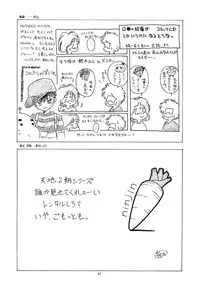 (CR16) [Paradise City (Various)] Tabeta Kigasuru 5 (Tenchi Muyou!)