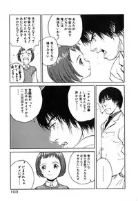 [Armadillo] Neko no Yurikago