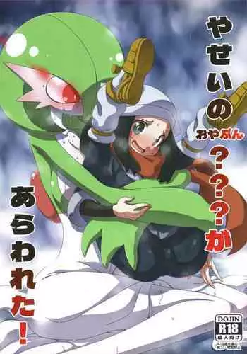 Chichimori