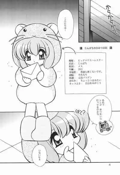 Himitsu Nikki