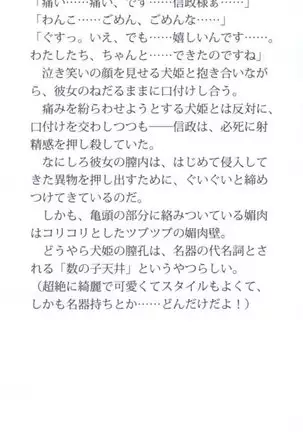 戦国犬姫！