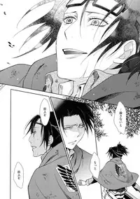 (C85) [RIX (Mamiya)] Ten ni Habataku Sono Hi Made (Shingeki no Kyojin)