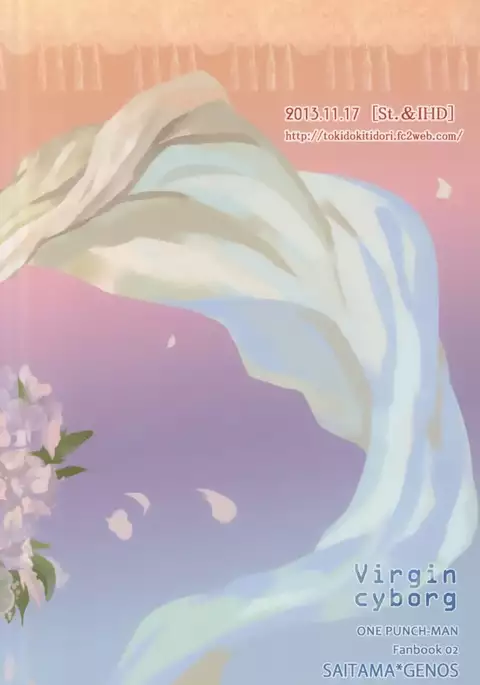 Virgin cyborg