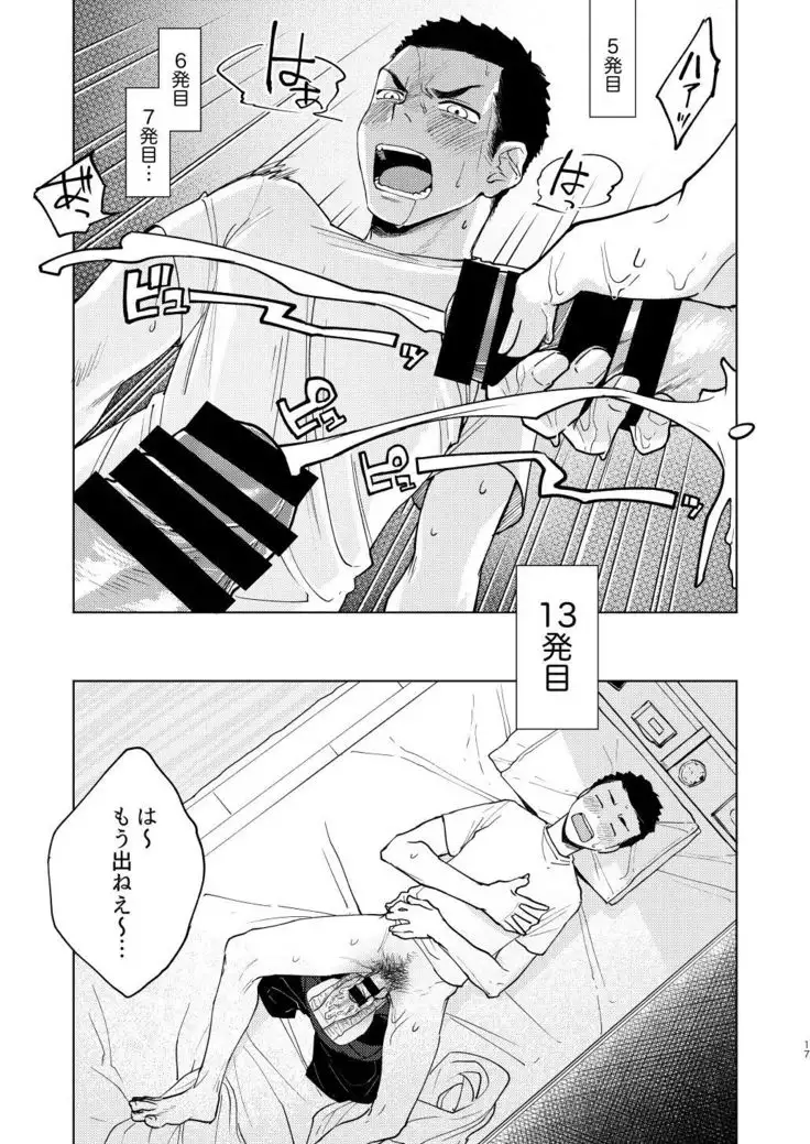 Danshi Seirihon