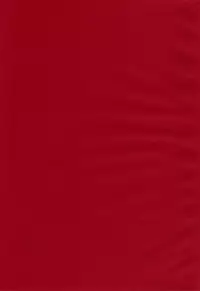 (C77) [Sankaku Apron (Sanbun Kyoden, Umu Rahi)] Akebi no Mi - Satomi AFTER