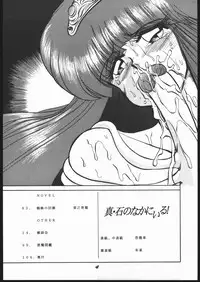 Shin ishi no naka ni iru!