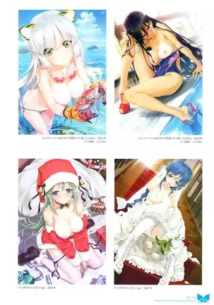 八宝備仁画集 紅蝶（ほてり）