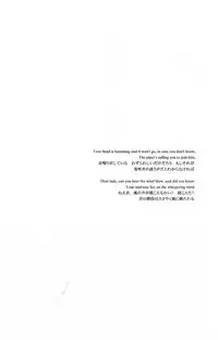 (SC48) [Blue-SYSTEMa (Usa)] Red, White, and Black (Durarara!!) [English]