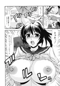 COMIC RiN 2010-12