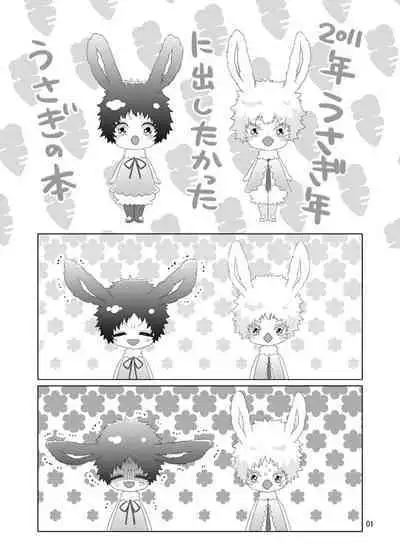 Usagi no Hon