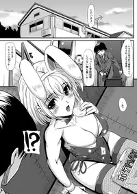[n820] Midara Ryouiki [Digital]