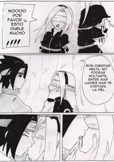 Amor Salvaje