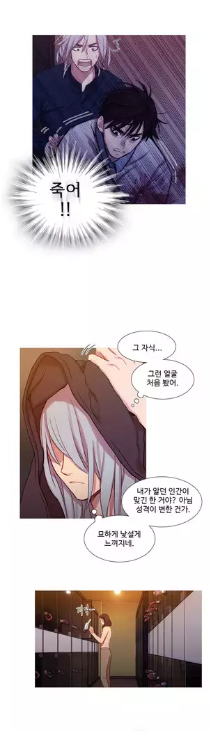Scandal of the Witch Ch.0-35