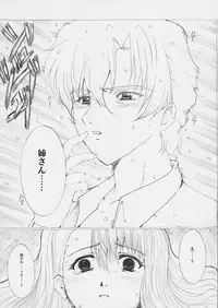 [Neko to Hato (Hatoya Mameshichi)] Promesse Yakusoku no Toki (Noir)