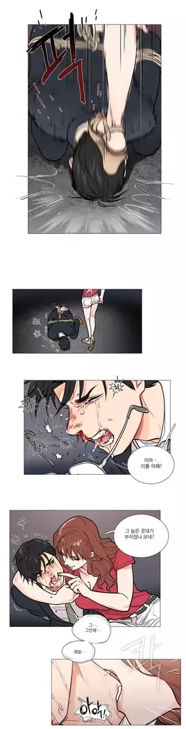 Sadistic Beauty Ch.0-25