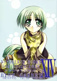 (C62) [BLUE GARNET (Serizawa Katsumi)] BLUE GARNET XIV SKY (SKYGUNNER)