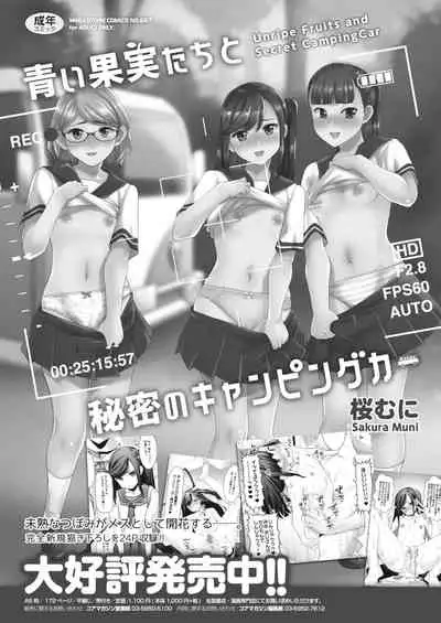 COMIC HOTMiLK Koime Vol. 31